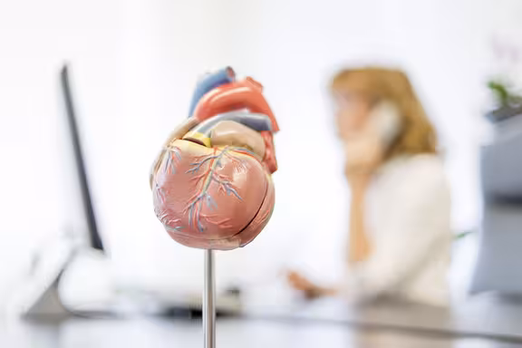 Modell Herz im Hintergrund Ärztin